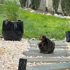 Looking for a specific vintage item? Let me help!!!